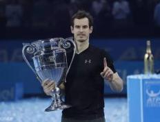 IM体育官方网站-美国网球队力克英国网球队，穆雷完成帽子戏法的简单介绍