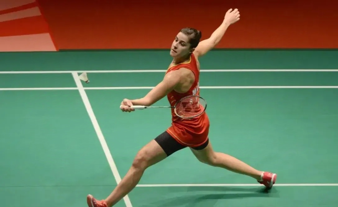 IM体育-包含法国羽毛球队翻盘韩国羽毛球队，马琳高光表现的词条