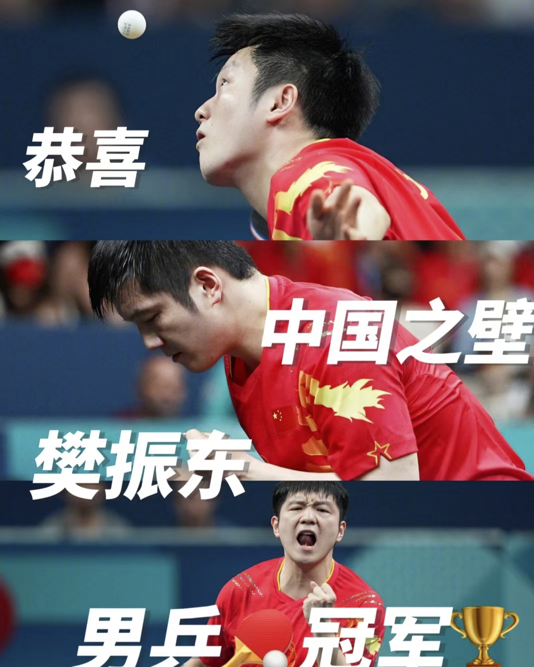 IM体育官网-法国队绝杀瑞典队，樊振东带队取胜