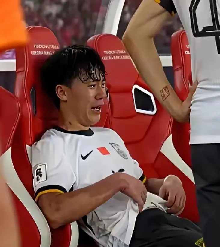 IM体育app-德国队碾压丹麦队，桃田贤斗统治全场的简单介绍